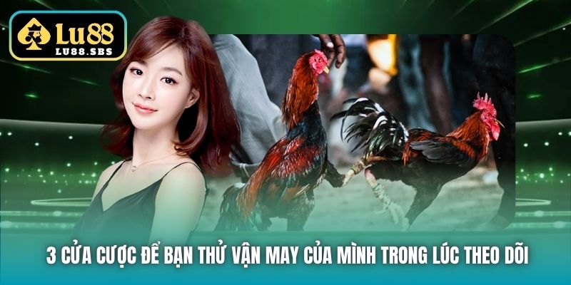 3 cửa cược để bạn thử vận may của mình trong lúc theo dõi