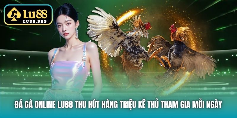 Đá Gà online Lu88 thu hút hàng triệu kê thủ tham gia mỗi ngày