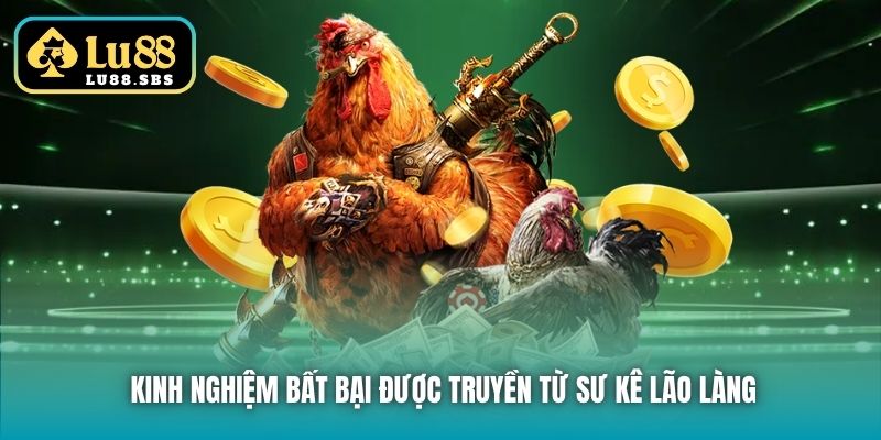 Kinh nghiệm bất bại được truyền từ sư kê lão làng