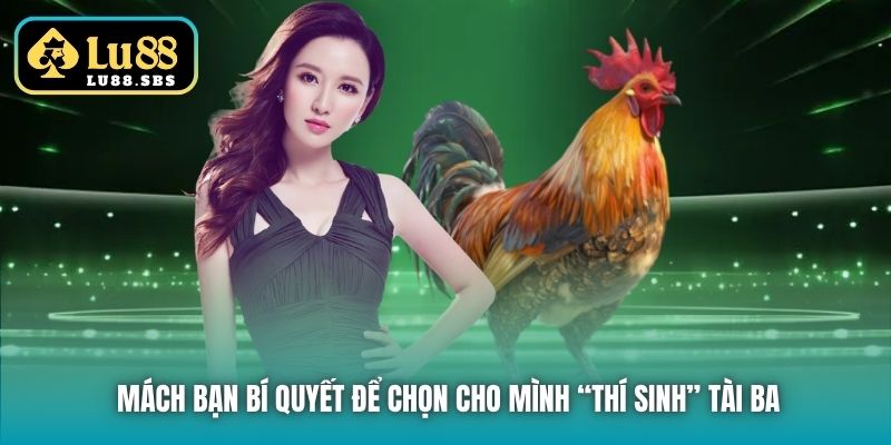Mách bạn bí quyết để chọn cho mình “thí sinh” tài ba