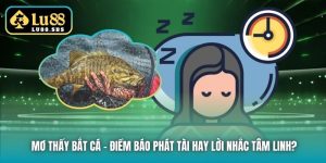 Mơ Thấy Bắt Cá - Điềm Báo Phát Tài Hay Lời Nhắc Tâm Linh?