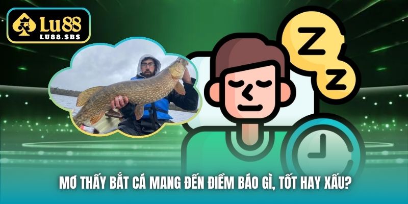 Mơ thấy bắt cá mang đến điềm báo gì, tốt hay xấu?