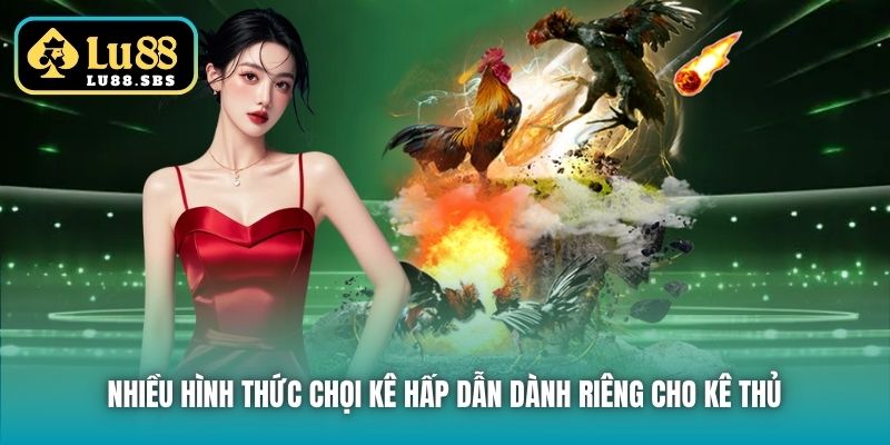 Nhiều hình thức chọi kê hấp dẫn dành riêng cho kê thủ