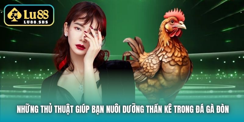 Những thủ thuật giúp bạn nuôi dưỡng thần kê trong đá gà đòn